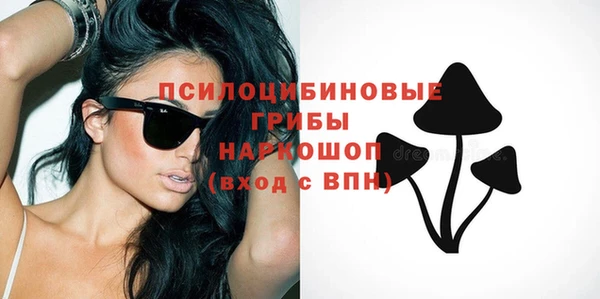 винт Абаза