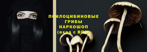 дживик Семёнов