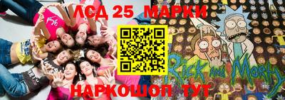 альфа пвп Новодвинск