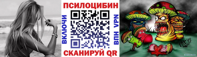 Галлюциногенные грибы Cubensis  закладка  Белая Калитва 